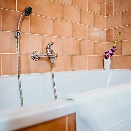 Bona Serva 3* Prague