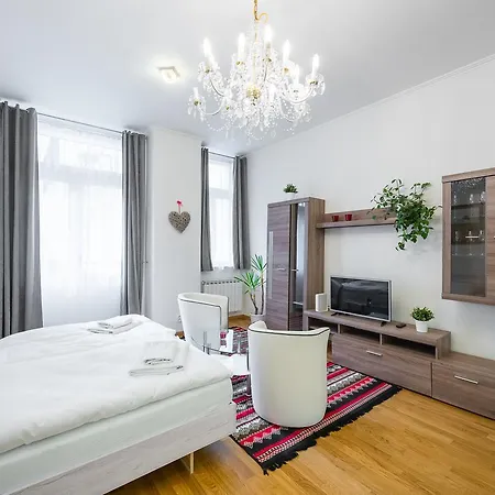 Apartment Zborovska *