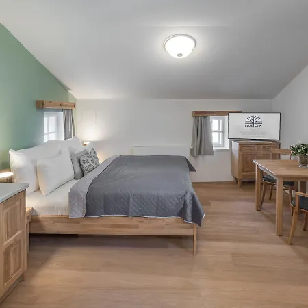 Aparthotel Blue Oak Praga