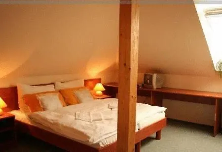 U Hvezdy Hotel 3*
