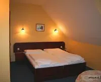 U Stare Pani - At The Old Lady 4* Prag