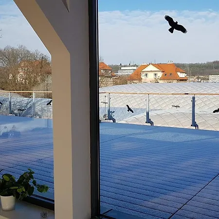 Sport Cibulka Homestay Prague