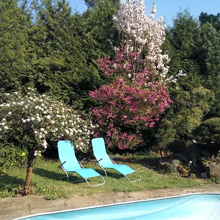 Bonsai Praha