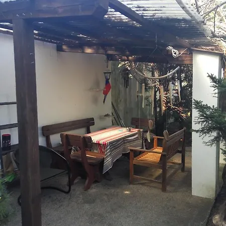 Bonsai Praha