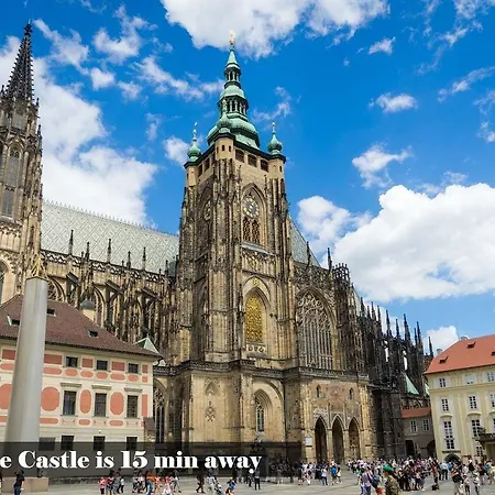 Spacious In The Heart Of
