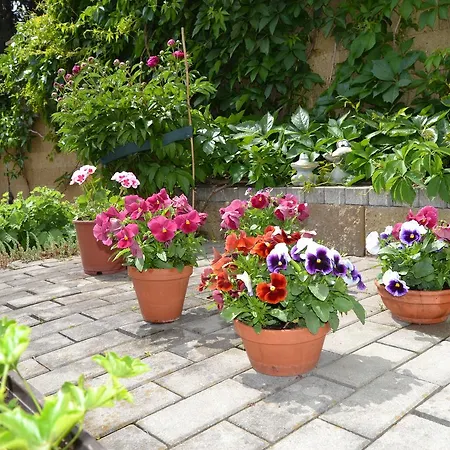 Guest house Nika Prague