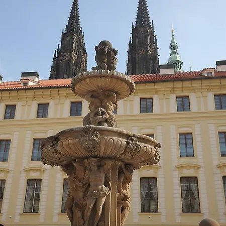Flamingo * Prague