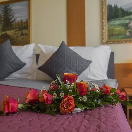 Hotel Top Hotel Praha Praga