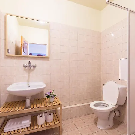 Guest house Platan 2*