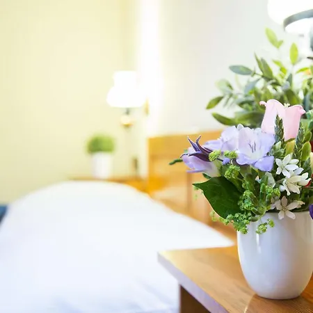 Platan Guest house Prague