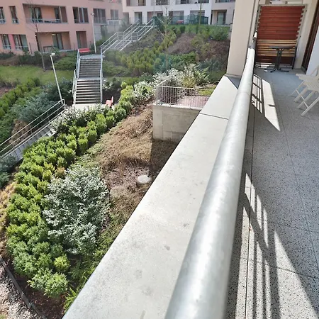 Bright Spacious Apartment