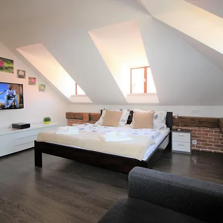 Agnes - Apartment Prague