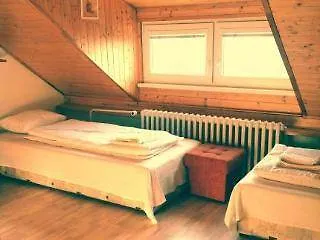Guest house Nika 3*