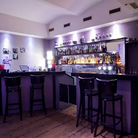 德米卡宫殿酒店 酒店 4*
