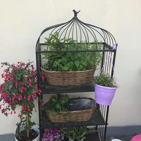 Old Town Boutique Апартаменты Прага