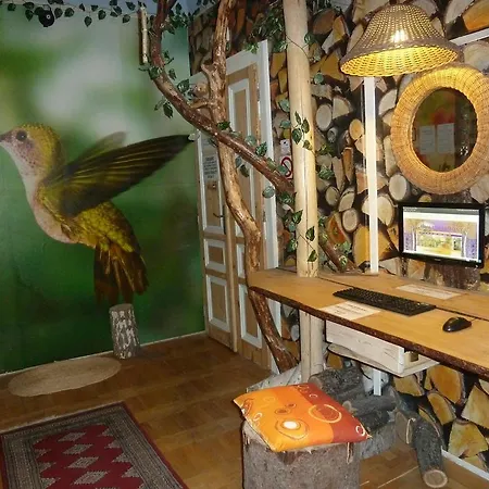 Artharmony & Auberge de jeunesse *