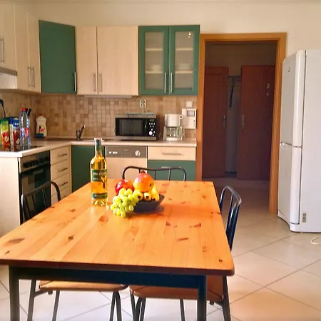 Apartment Pinkas Prague