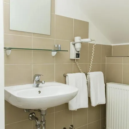 Hotel U Suteru Praga