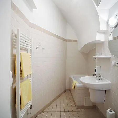 Hotel U Tri Bubnu Prague