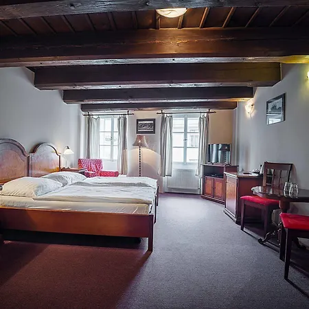 Hotel U Tri Bubnu Prague