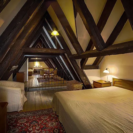 Hotel U Tri Bubnu 3*