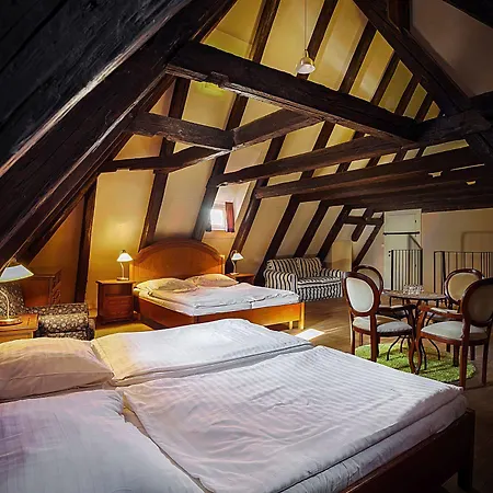Hotel U Tri Bubnu 3*