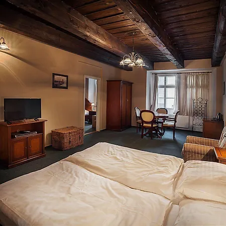 Hotel U Tri Bubnu 3*