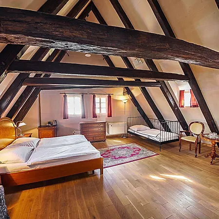 Hotel U Tri Bubnu Prague