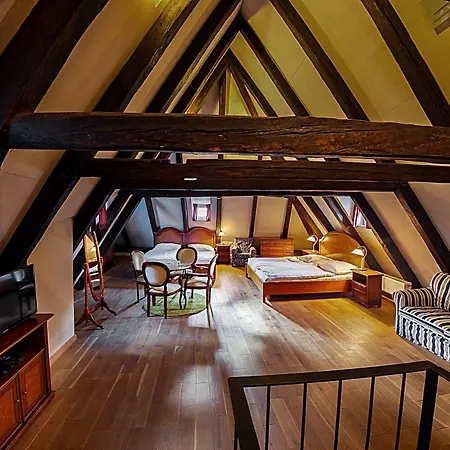 Hotel U Tri Bubnu Prague
