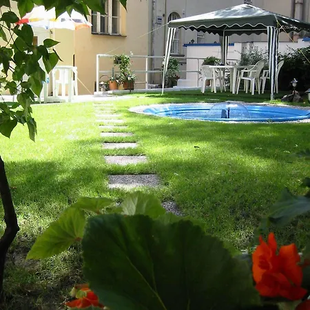 Brezina 3*
