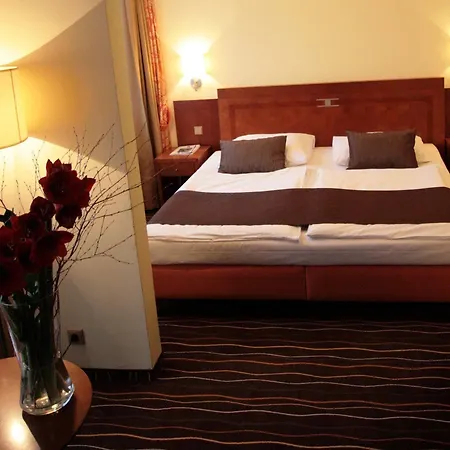 Luxury Family Bílá Labuť Hotel