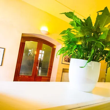 Hotel Adler - Czech Leading 4*