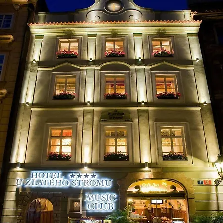 U Zlatého Stromu Hotel