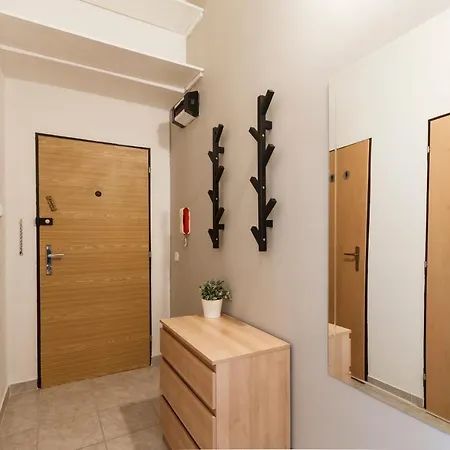Apartment Safarikova
