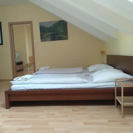 Pinkas Apartment *