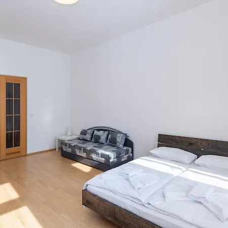 Apartment Spacious In The Heart Of