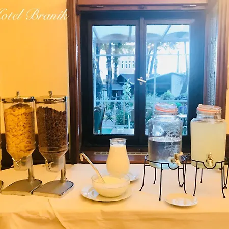 Branik Hotel 3*