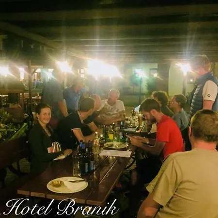 Hotel Branik