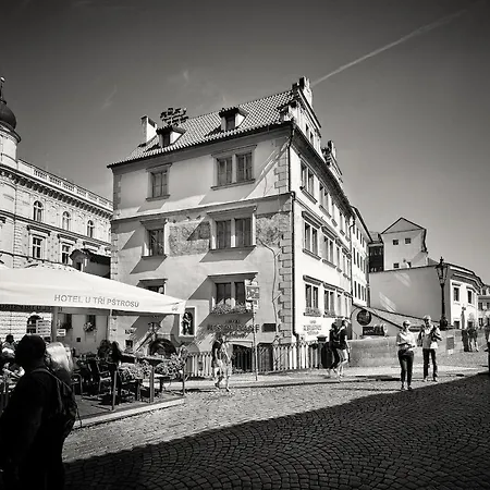 Hotel U 3 Pstrosu Praha