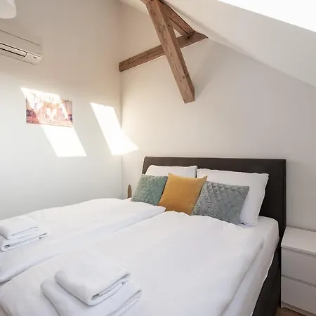 Tesnov Grande Apartment Prague