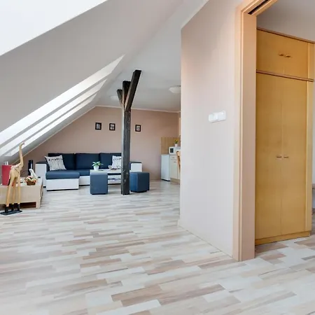Jane's Attic Apartment Prague