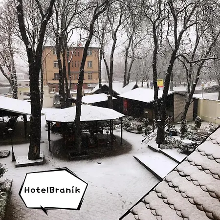 Hotel Branik 3*
