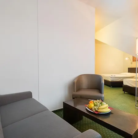 Vitkov Hotel 4*