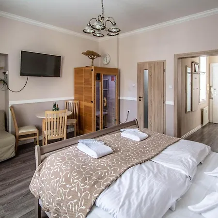 Appartement Champagne With Sauna Praag