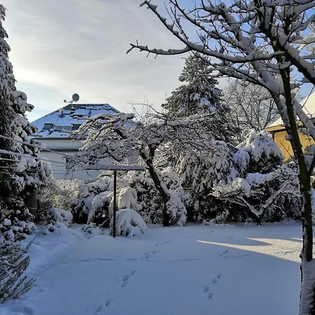 Krocinka * Praag