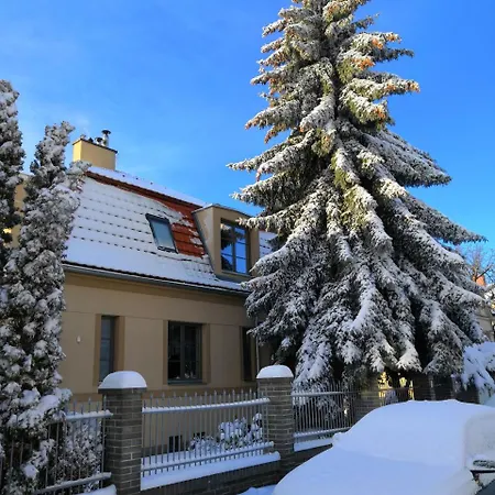 Krocinka Praag