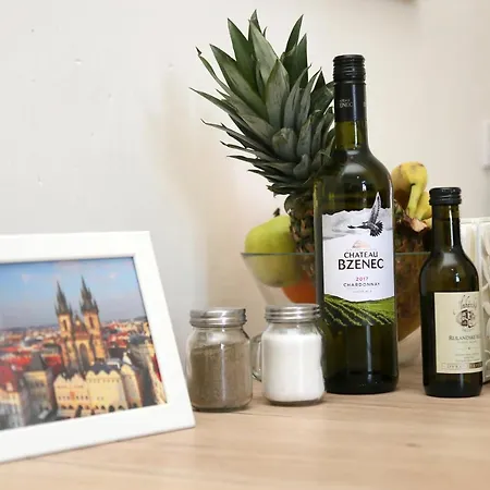 Apartment Beautiful Mala Strana *