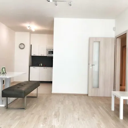 Luxury In Apartment Prague