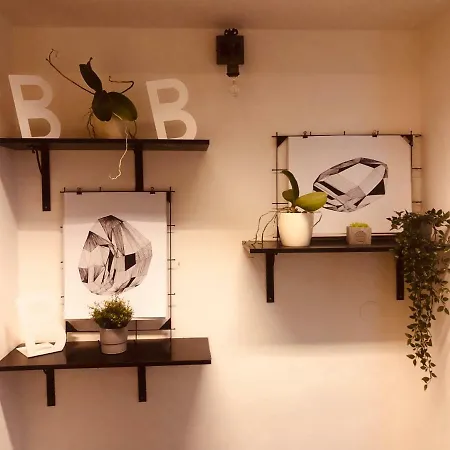 Hostel Mai Bohemia Hostel And Apartment Prague