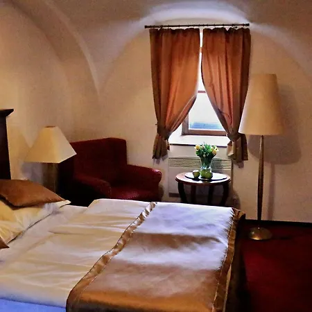 Pensjonat Cesky Statek Praga